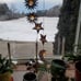Solar Wind Chimes for Outside with Sun Moon Star Solar Hanging Lights