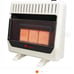 Reddy 30,000 BTU Duel Fuel Heater
