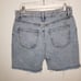 Revice Denim Distressed Raw Hem High Rise Denim Shorts Size 30