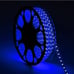 Blue Rope Lights, 110v Flat LED Strip Lights Waterproof Kit - 100 ft.