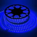 Blue Rope Lights, 110v Flat LED Strip Lights Waterproof Kit - 100 ft.
