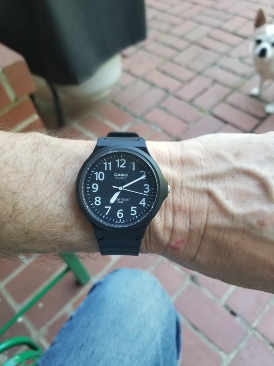 Analog Display Quartz Black Watch