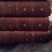 The TATLER 1797 Leather-bound 4 Volumes, pre-rev war content 1709-10 Antique