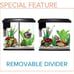 Fish Tank & All The Essentials