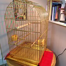 Beautiful Golden Metal Bird Cage.