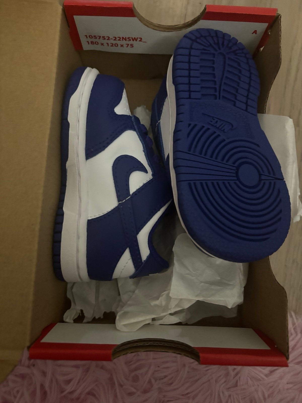 BRAND NEW NIKE DUNKS SIZE 4c