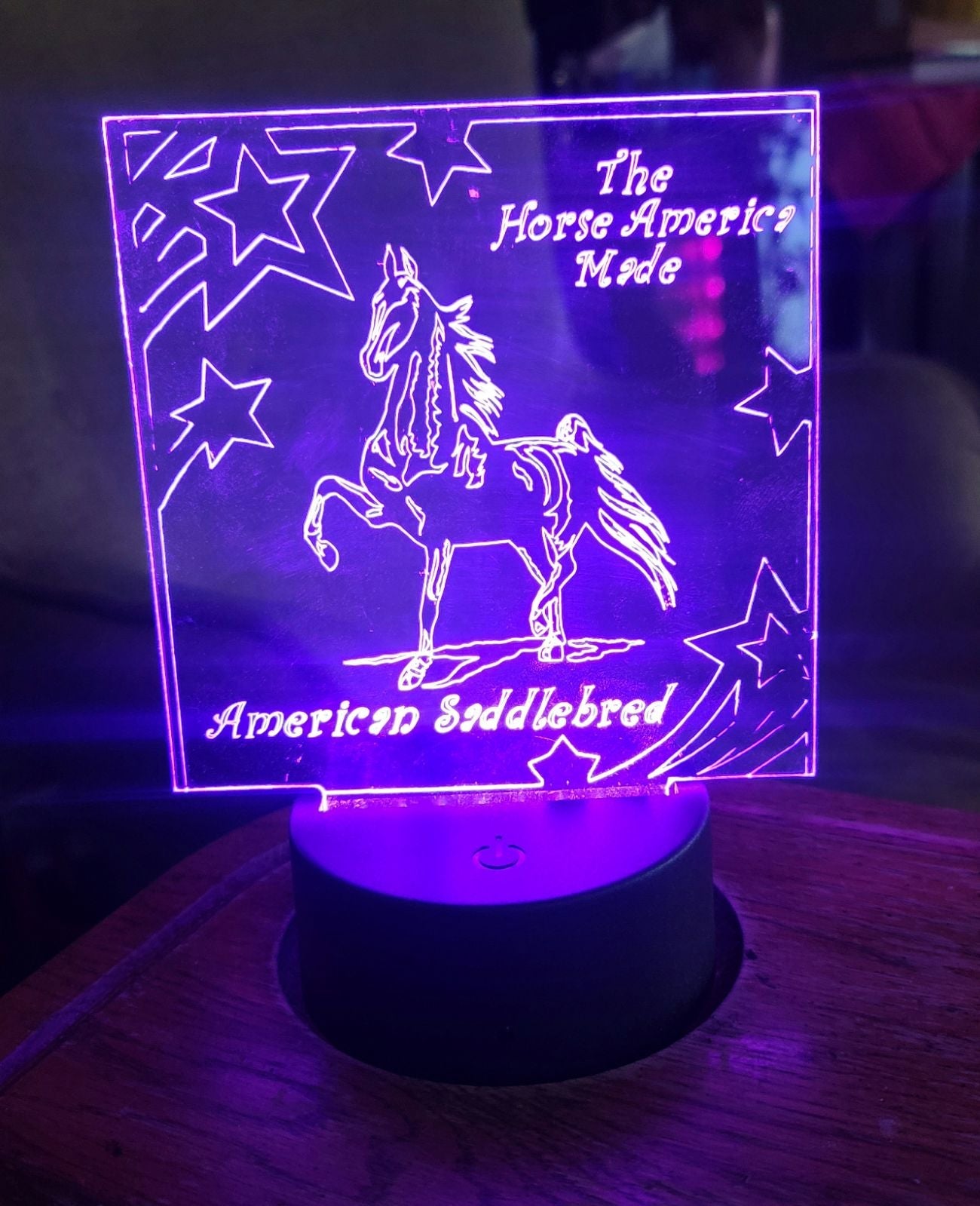 Custom American Saddlebred LED Nightligh