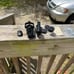 Celestron NexStar Telescope