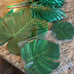 Leaves Party Decor