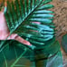 Leaves Party Decor