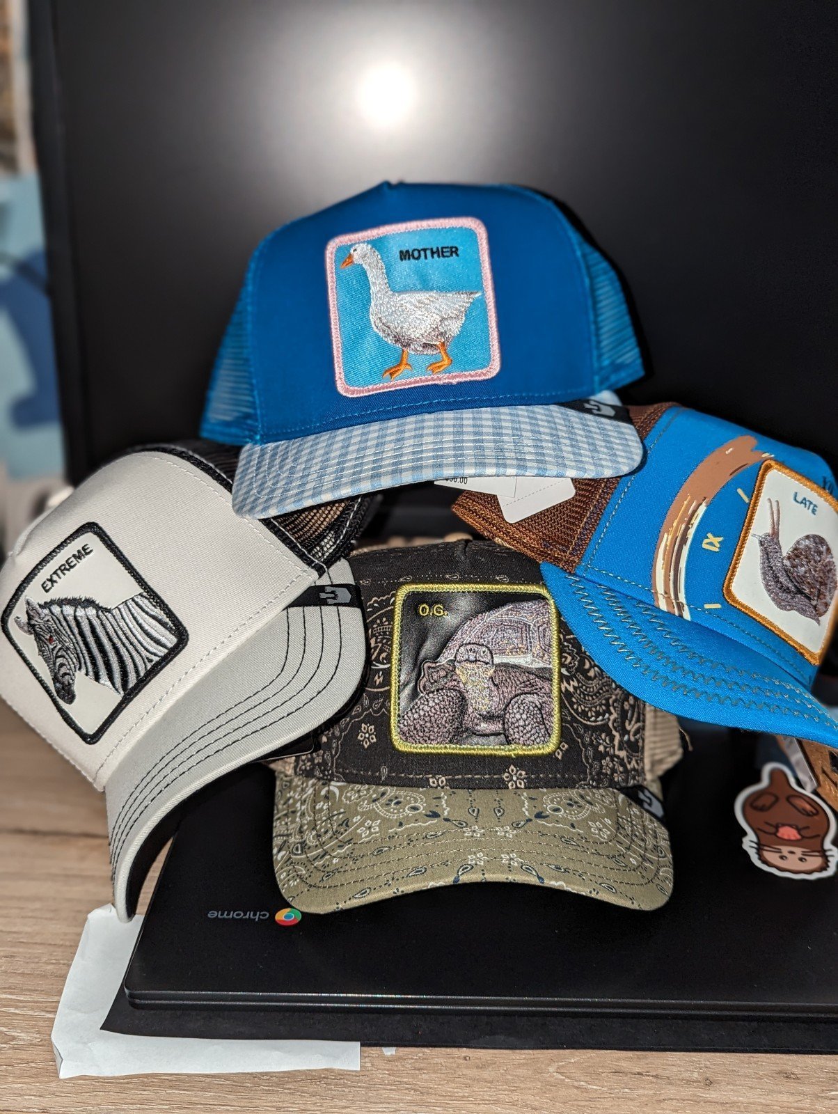 Goorin bros hats