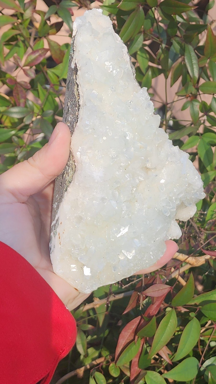Apophyllite