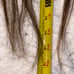 16 inch brown human hair Extensions