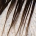 16 inch brown human hair Extensions