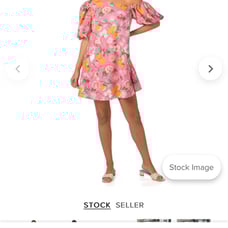 CROSBY by Mollie Burch Raleigh Dress in Paros print