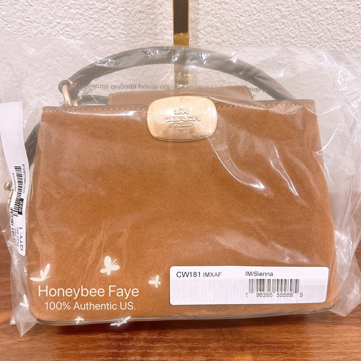 nwt coach Eliza Mini Carryall Bag In Suede CW181