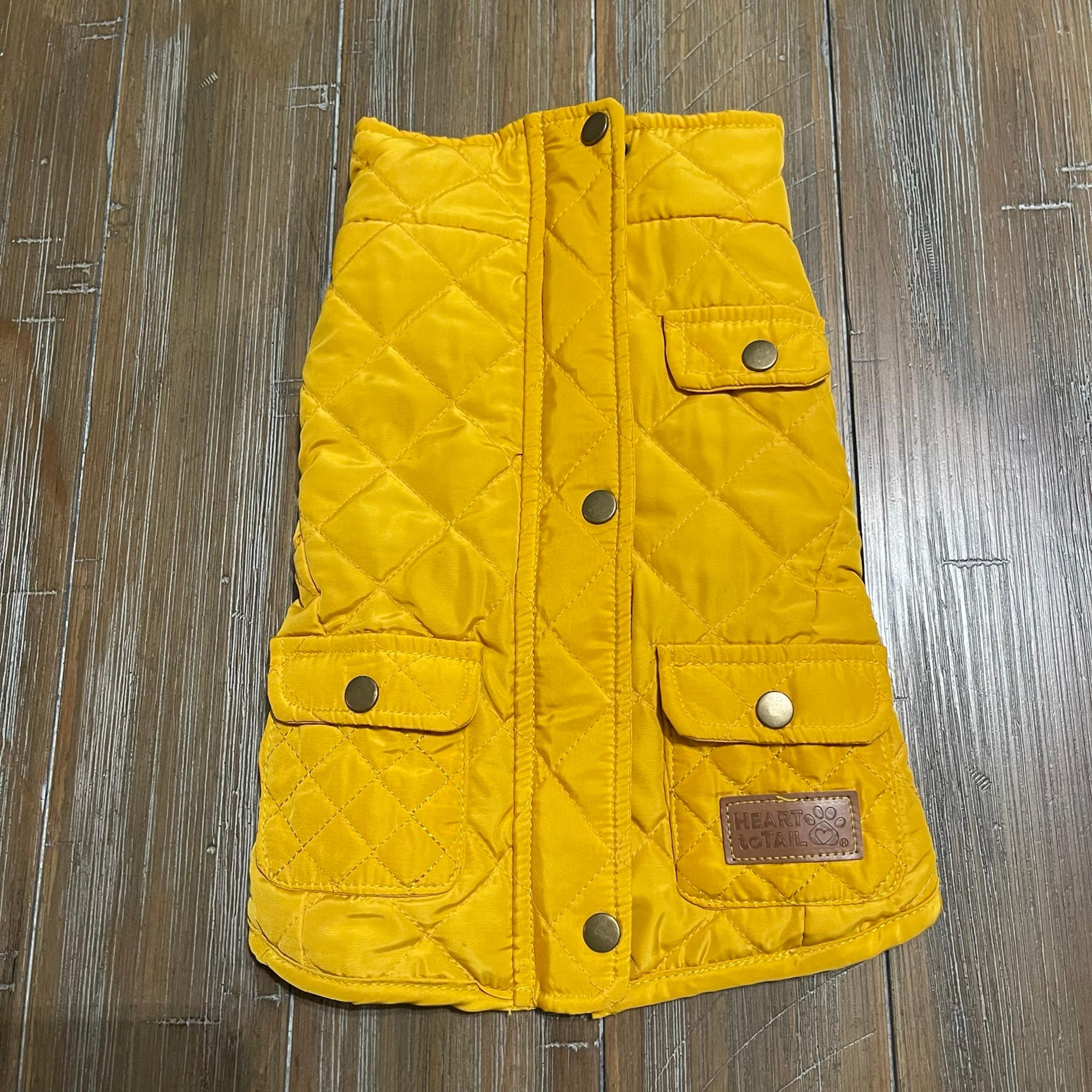 Dog vest