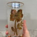 Set of 4 Bohemia Crystalex Gold Flower Timbers *NEW*