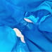 NWT Nike Men’s Volley Recycled Polyamide Swim Trunks in Cobalt Bliss