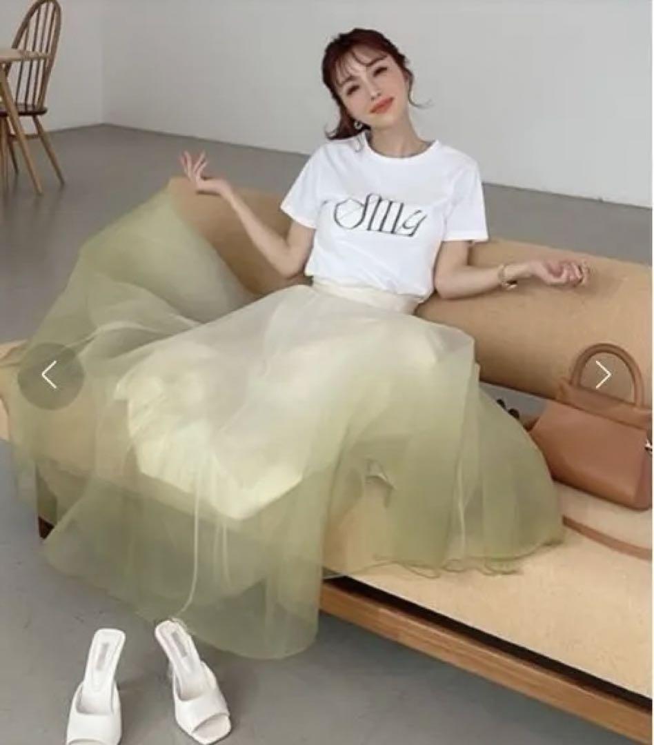 [Price Reduction‼️] eimy istoire Airy Gradient Skirt