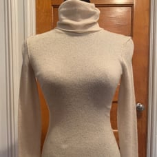 Inhabit turtleneck sweater dress (S)