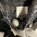 ARMANI EXCHANGE DOWN JACKET