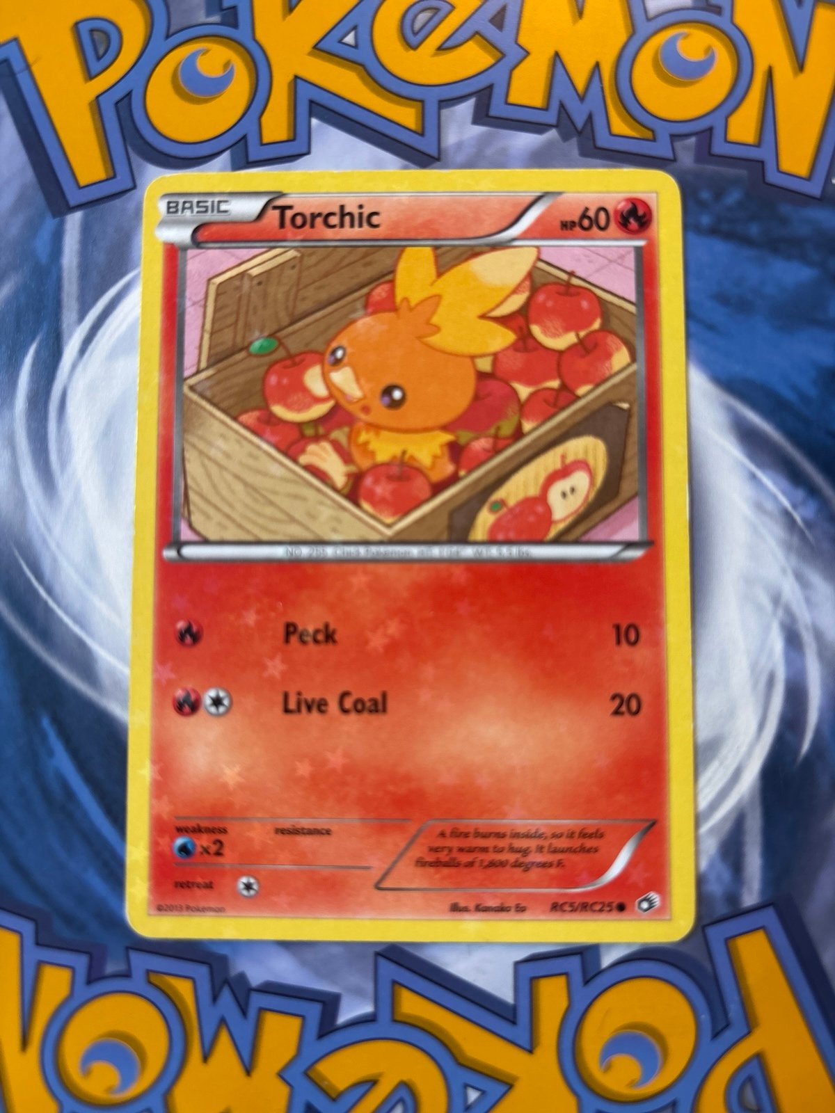 Torchic