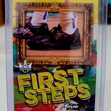 Jonathan Kuminga Court Kings First Steps /149