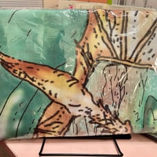 Fourth Wing Couch Tapestry