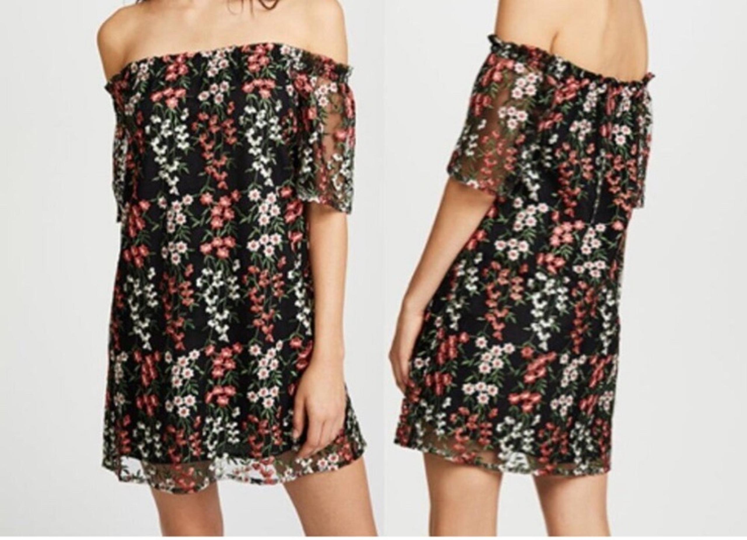 BB Dakota xs embroidered dress