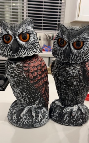 2 Pack Fake Owl Decoy Bird Scarecrow Sculpture, Rotating Head Plastic Owl