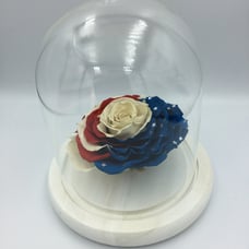 VIVID BOUQUET Preserved Ecuadorian Roses