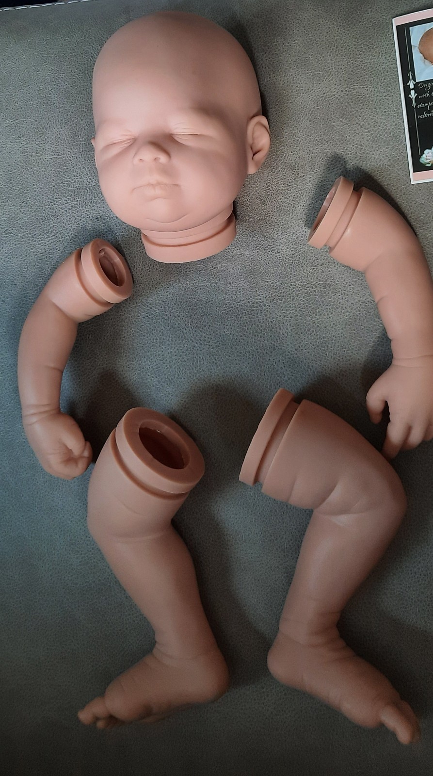 Reborn Doll Kit Erica by Shawna Clymer