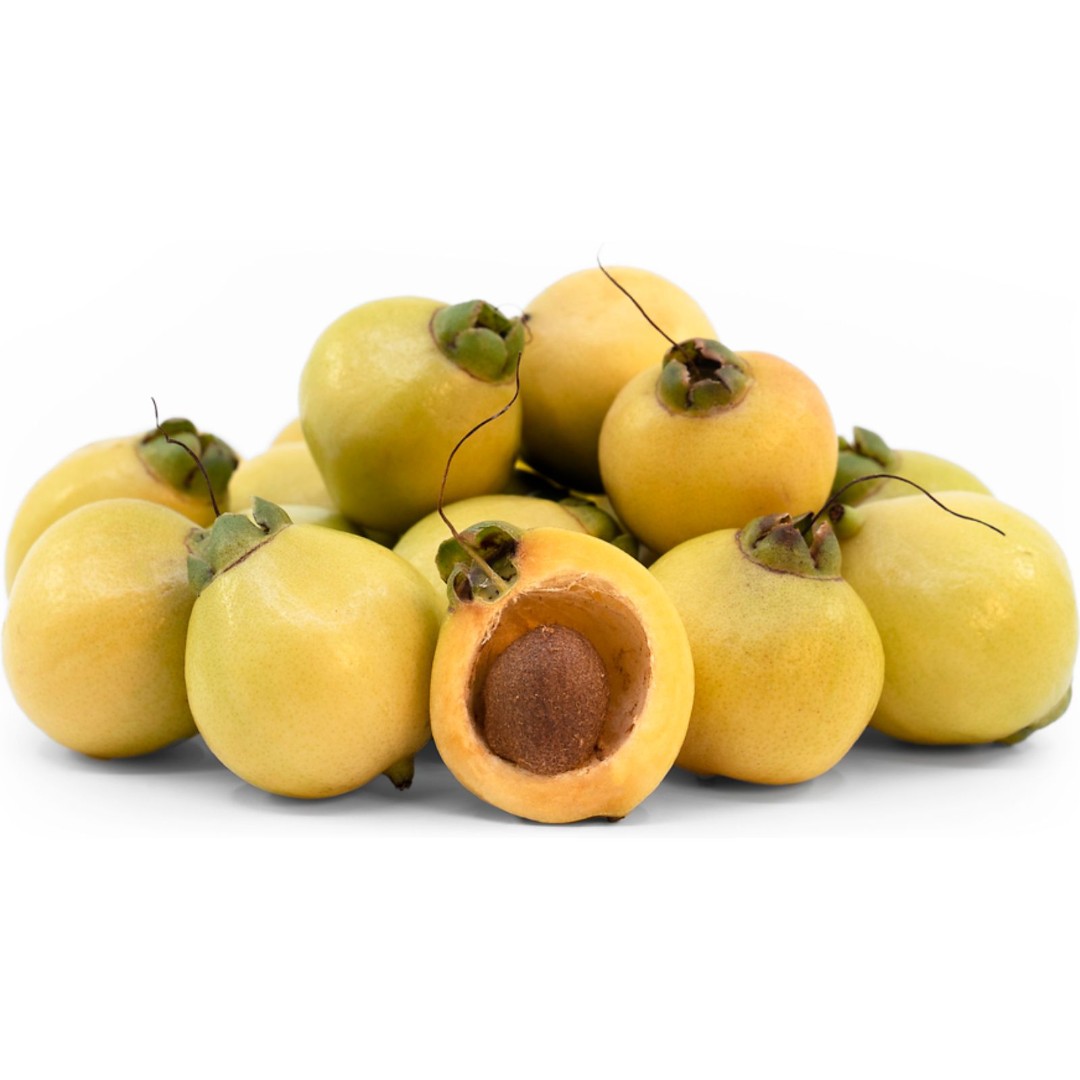HUGE Rose Apple Tree 5+ Feet Tall - LARGE Crispy & Crunchy Refreshing Fruit