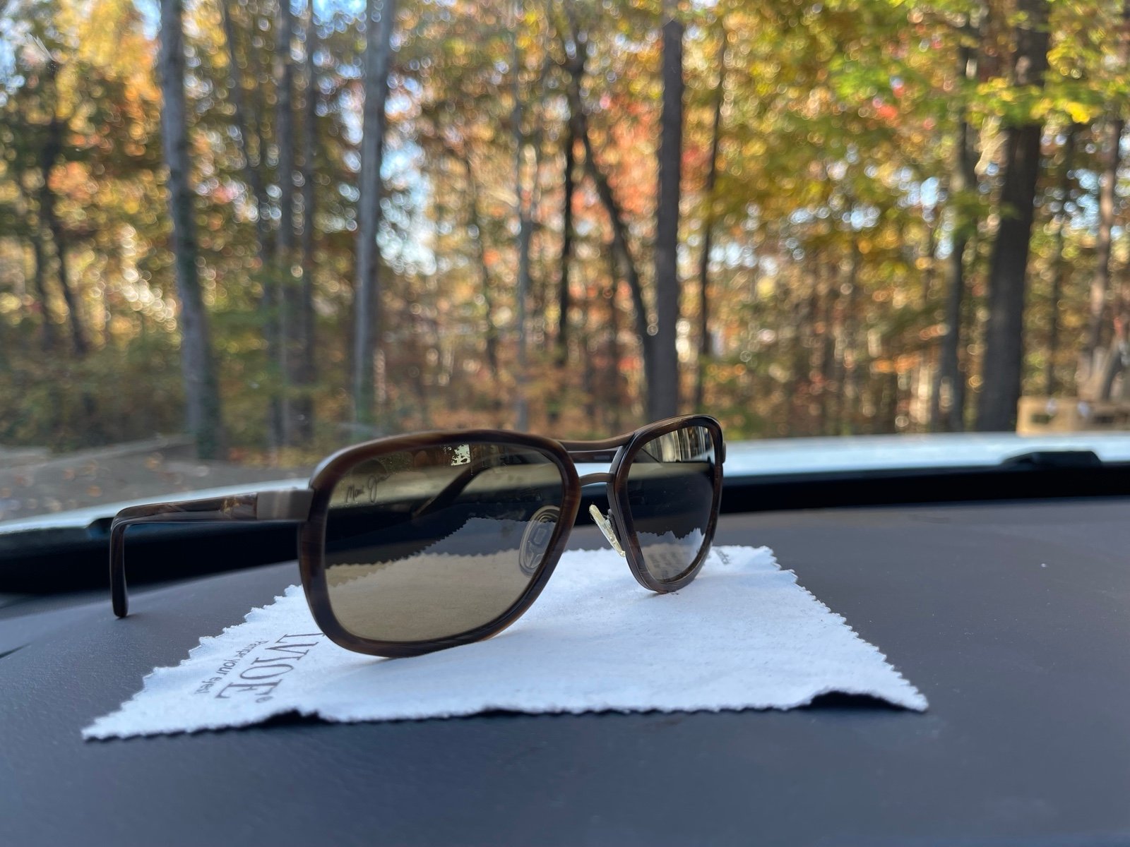 Sunglasses
