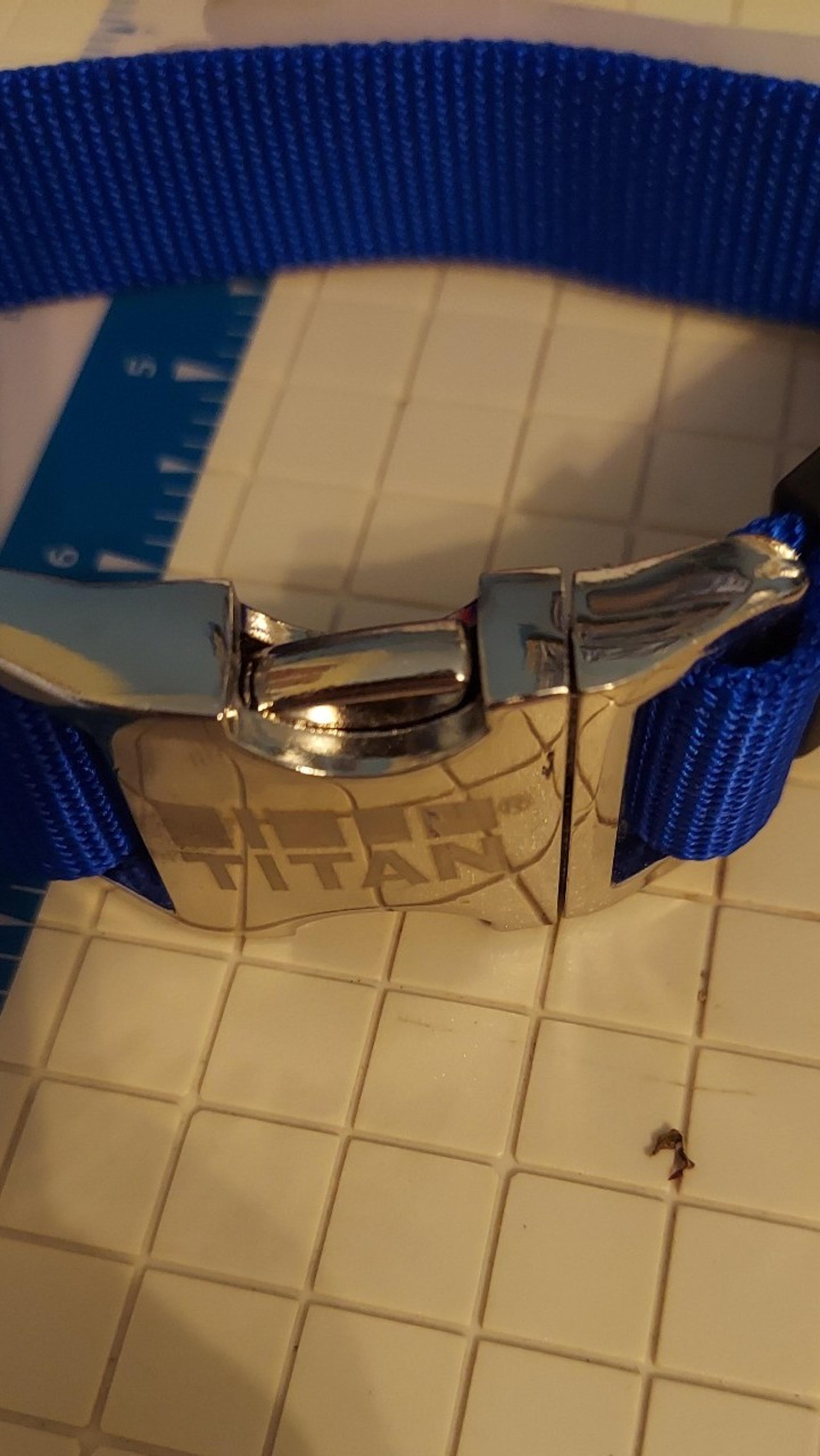 Dog Collar