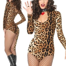 Sexy Leopard Costume