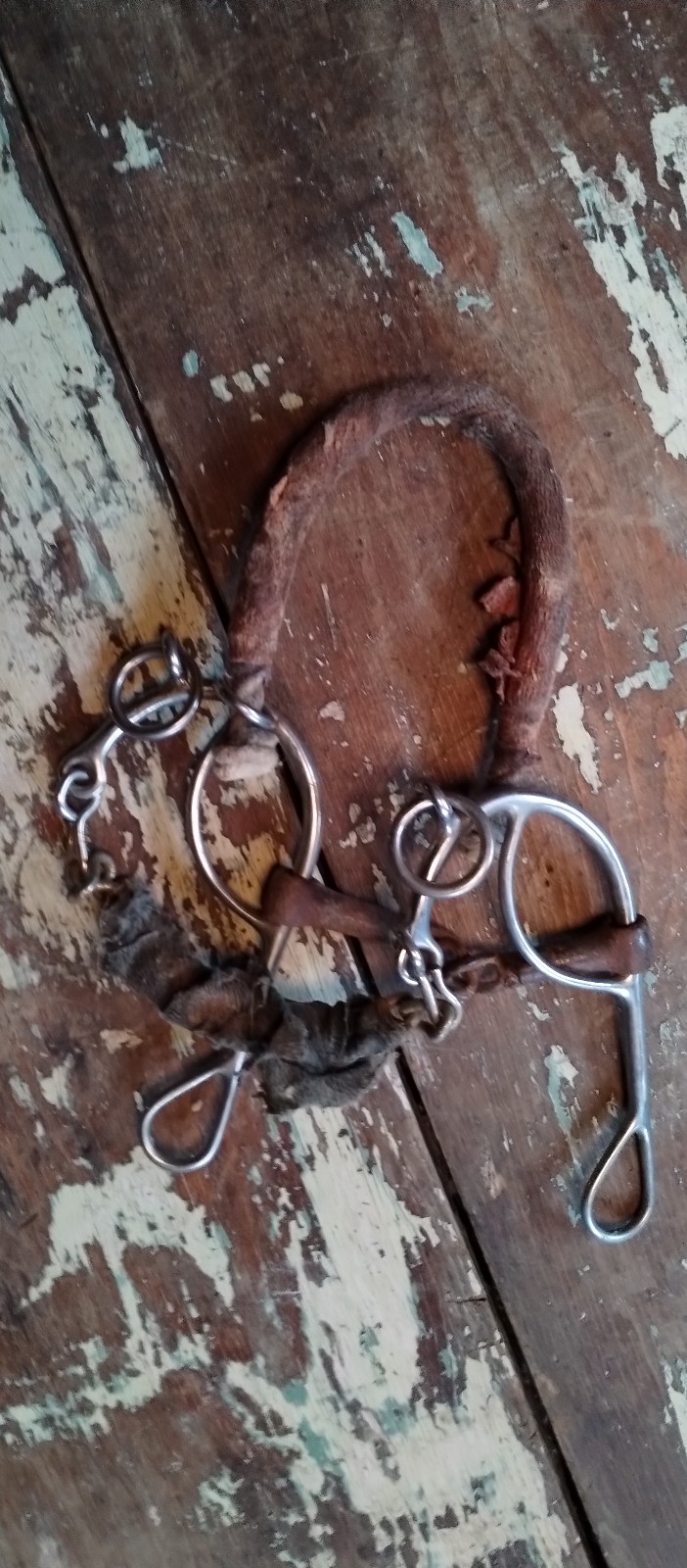 Vintage horse bit