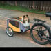 Schwinn Rascal Bike Pet Trailer, For Small and Large Dogs, Folding Frame Carrier