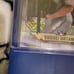 2018 Bowman Chrome Shohei Ohtani ROY Favorites MEGA BOX MOJO REFRACTOR ROOKIE