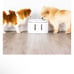 INSTACHEW Puresmart Water Fountain