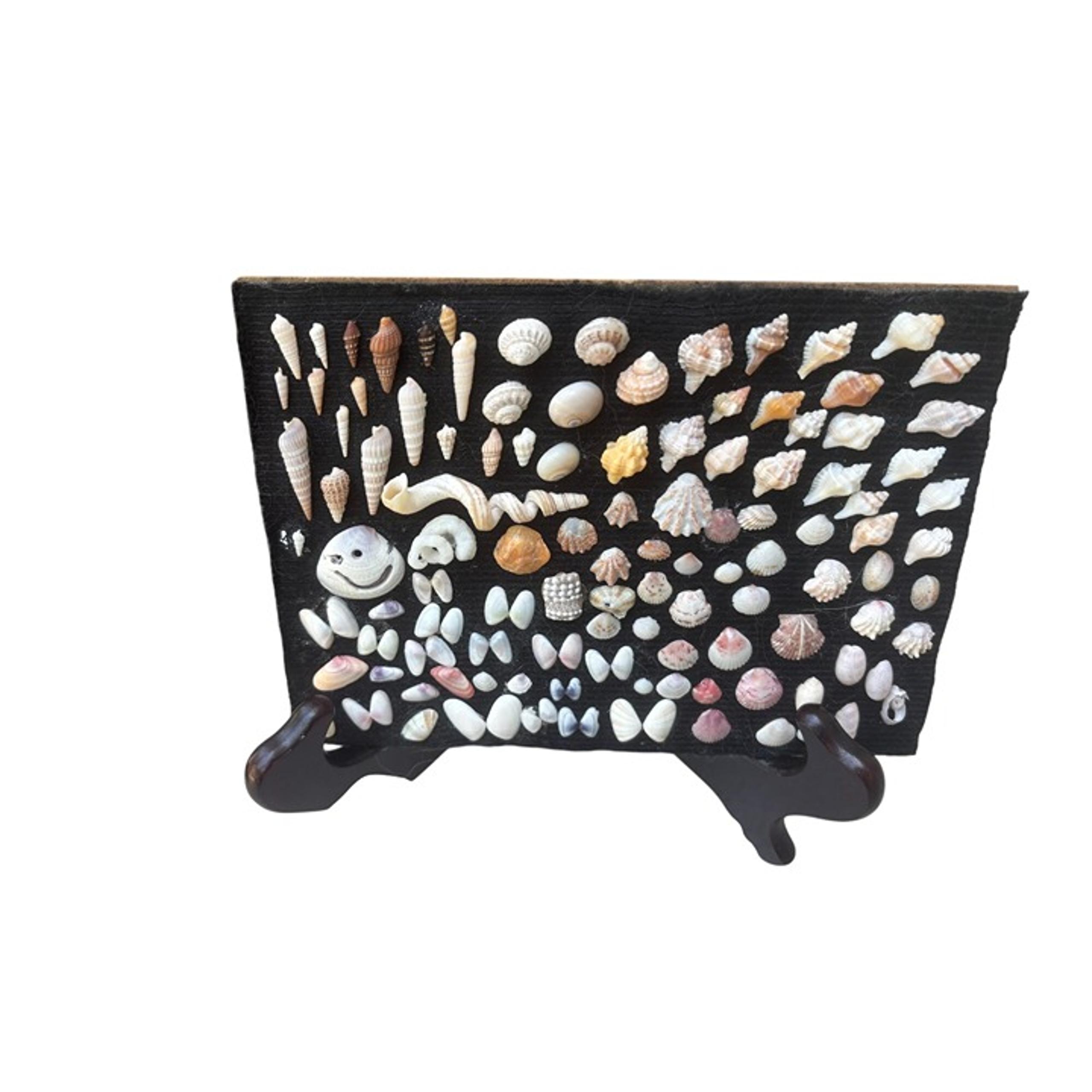 Sanibel, FL, Natural Seashells Collection 100+ Pieces Shells Attached Handmade A