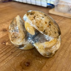 Carved and polished ammonite -turtle-A609
