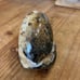 Carved and polished ammonite -turtle-A609