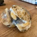 Carved and polished ammonite -turtle-A609