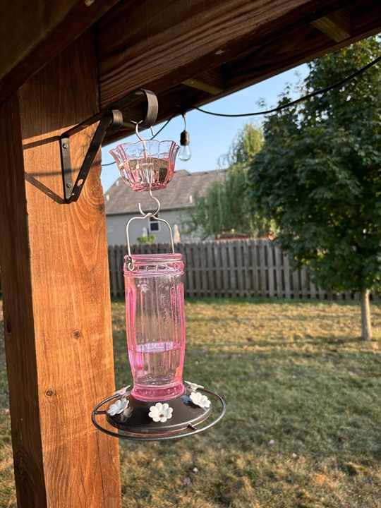 Kingsyard Glass Hummingbird Feeder for Outdoors Wild Bird Feeder with 6 Feeding