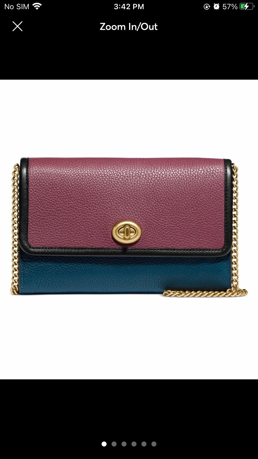 Coach chain crossbody