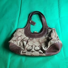 Coach Hobo Bag