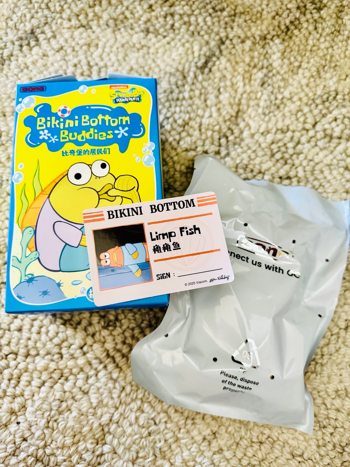 Spongebob Bikini Bottom Buddies