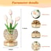 Tulip Crystal Flower Lamp Touch Rechargeable Cordless 3-Colour